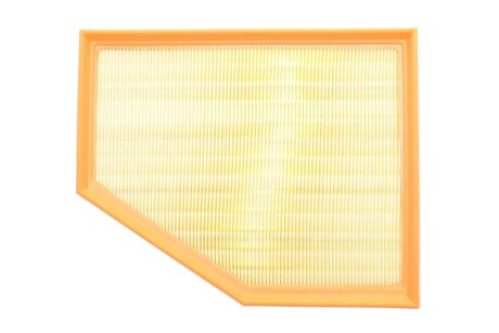 Фільтр забору повітря ALPHA FILTER AF1994