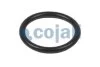 РМК пневматичного клапана COJALI 6012170 (фото 3)