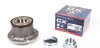 Wheel Bearing Kit CX CX981 (фото 1)
