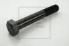 #NA PE AUTOMOTIVE 070.48900A (фото 1)