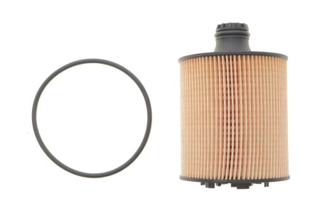 Оливний фільтр SOFIMA S5284PE