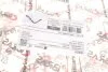 Патрубок інтеркулера DP Group FS 2106 IBR (фото 8)