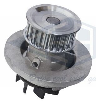 Водяний насос GEBA 6075