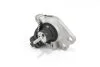 Подушка двигуна Renault Kangoo 1.5dCi 01- Пр. GOODREM RR5066 (фото 2)