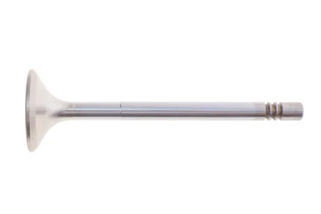 Клапан двигуна TRW Engine Components 171062