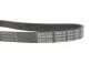 PASEK W/KLINOWY DAYCO 6PK1120S (фото 3)