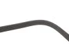 PASEK W/KLINOWY DAYCO 6PK1120S (фото 4)