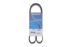 Ремінь генератора поліклиновий DAYCO 6PK1139H (фото 2)