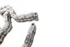 Комплект цепи ГРМ MB C-class (W203/S203)/E-class (W211/S211) 3.5 04-11, M 272.920/940/941/960/970 INA 559179920 (фото 6)