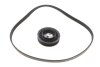 ZESTAW PASKA PK BMW X3 XDRIVE 30E PLUG-IN-HYBRID 19- INA 529057910 (фото 2)