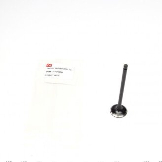 Клапан випускний NE 148 087 0001 00