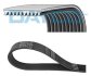 Доріжковий пас DAYCO 10PK1300HD (фото 1)