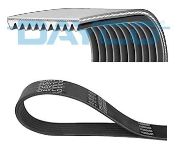 Доріжковий пас DAYCO 10PK1300HD