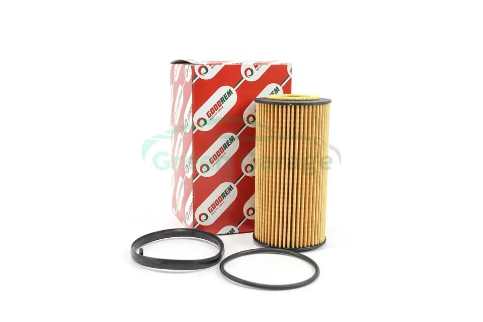 Фільтр масляний Golf V/Passat B6/Octavia A5 2.0FSI/GTI GOODREM RF0335H (фото 1)
