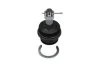 PARTS TOYOTA кульова опора нижн.лів./прав.Fortuner 04-,Hilux III 06- KAVO SBJ9054 (фото 1)