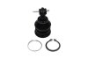 PARTS TOYOTA кульова опора Yaris 1.0 05-11, 1.8 07-11 KAVO SBJ9034 (фото 1)
