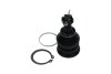 PARTS TOYOTA кульова опора Yaris 1.0 05-11, 1.8 07-11 KAVO SBJ9034 (фото 2)