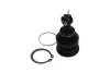 PARTS TOYOTA кульова опора Yaris 1.0 05-11, 1.8 07-11 KAVO SBJ9034 (фото 2)