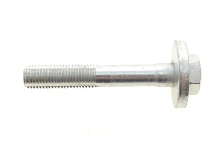 Болт з ексцентриком BELGUM PARTS BG2022