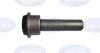 Сайлентблок передньої балки Nissan Qashqai 07- BELGUM PARTS BG0409 (фото 1)