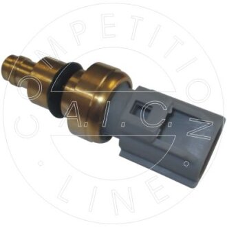 AIC 55134