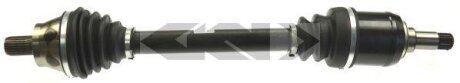 SPIDAN 25597
