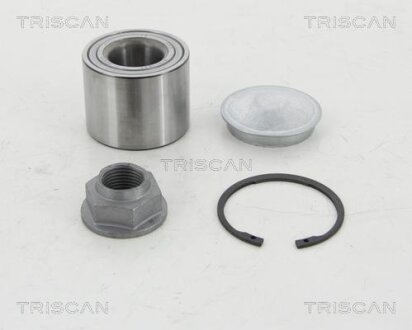 RENAULT підшипник маточини задн Kangoo 08-, Dacia Duster 10- TRISCAN 8530 10293