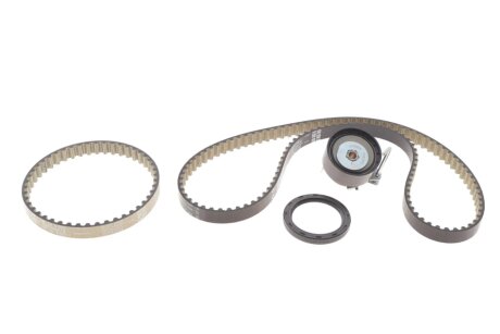 Комплект зубчастих ременів INA 530 0960 10