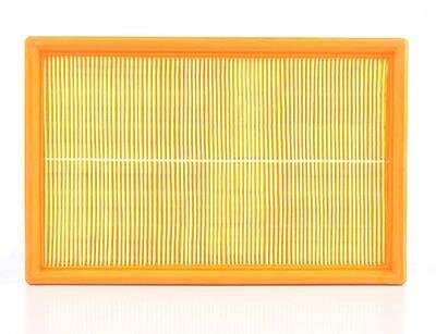 Фільтр повітряний 1.4 Caddy III (75PS)/Golf IV/V/Octavia/Fabia BSG BSG 90135007