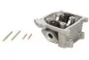 Голівка CHIŃSKI SKUTER/MOPED/MOTOROWER/ATV 4T KYMCO AGILITY 50 INPARTS IP000019 (фото 1)