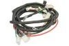 Джгут дротів CHIŃSKI SKUTER/MOPED/MOTOROWER/ATV 2T INPARTS IP000426 (фото 2)