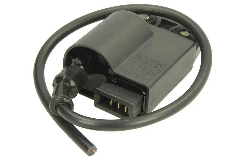 Модуль запалювання (модуль котушки (EN) small plug) GILERA D.N.A, NGR, NRG, RUNNER, RUNNER SP, STALKER, STORM, TYPHOON PIAGGIO/VESPA ET2, FLY, FREE, FREE 1, FREE FL, LIBERTY, LX, LXV 50 1991-2018 INPARTS IP000418 (фото 1)