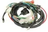 Джгут дротів CHIŃSKI SKUTER/MOPED/MOTOROWER/ATV 4T INPARTS IP000425 (фото 1)