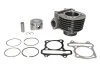 Циліндр (4T) KYMCO AGILITY, PEOPLE MALAGUTI CIAK 150 1999-2015 INPARTS IP000442 (фото 1)
