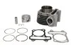 Циліндр (4T) KYMCO AGILITY, PEOPLE MALAGUTI CIAK 150 1999-2015 INPARTS IP000442 (фото 2)