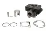 Циліндр (50 см³, 2T) ITALJET FORMULA SUZUKI AH, AJ, AP, AY, UF, UX TGB 202, 203, BULLET, ERGON, HOOK WINKING/TGB AKROS, AS, AT, AX, DELIVERY, ERGON, KB 50 1975-2010 INPARTS IP000102 (фото 1)
