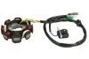Статор генератора GY6-125 GY6-150 GY6-125 GY6-150 ((EN) No of coils: 8, (EN) with pulser) CHIŃSKI SKUTER/MOPED/MOTOROWER/ATV 4T INPARTS IP000501 (фото 2)