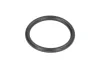 Ущільнююче кільце коробки передач 17xx2мм 2 HL 100 T 7113 L T 7200 ZF 0634306198 (фото 1)