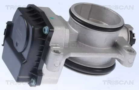 RENAULT Дросельна заслонка Clio II, Kangoo, Laguna II, Megane I,II, Scenic II 1.4/1.8 TRISCAN 8820 25002