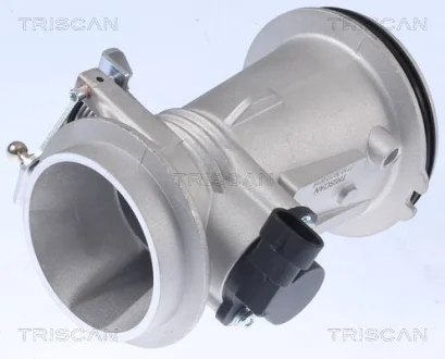 RENAULT Дросельна заслонка Logan, Sandero, Kangoo, Megane, Clio, Ford 1.6/1.4 (метал) TRISCAN 8820 25004